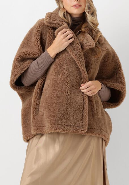 Camel ALTER EGO Jack ELIN - large