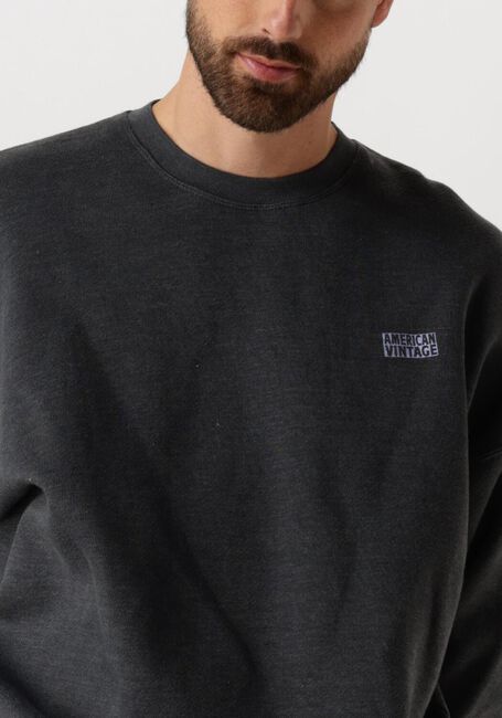 Donkergrijze AMERICAN VINTAGE Trui DOVEN H - large