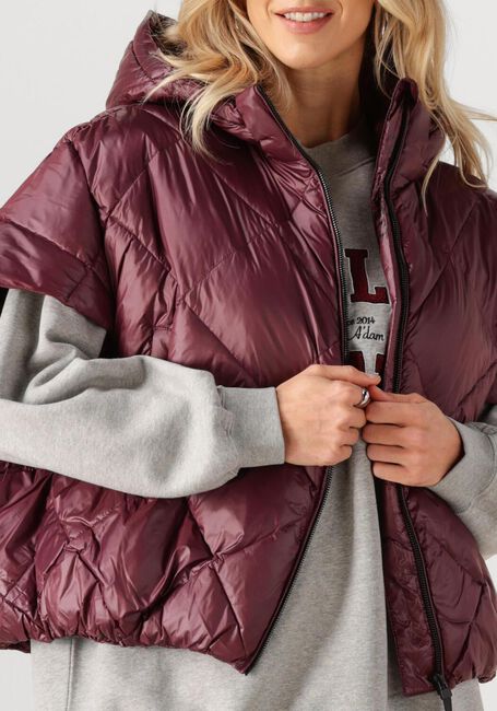 Bordeaux DEBLON SPORTS Gewatteerde jas STEVIE BODYWARMER - large