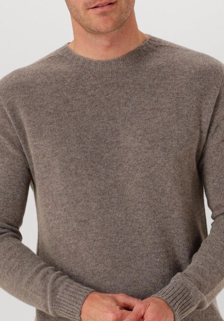 Grijze PROFUOMO Trui PULLOVER CREW NECK - large