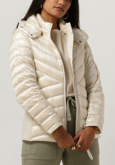 Witte BEAUMONT Jack DEVI - large