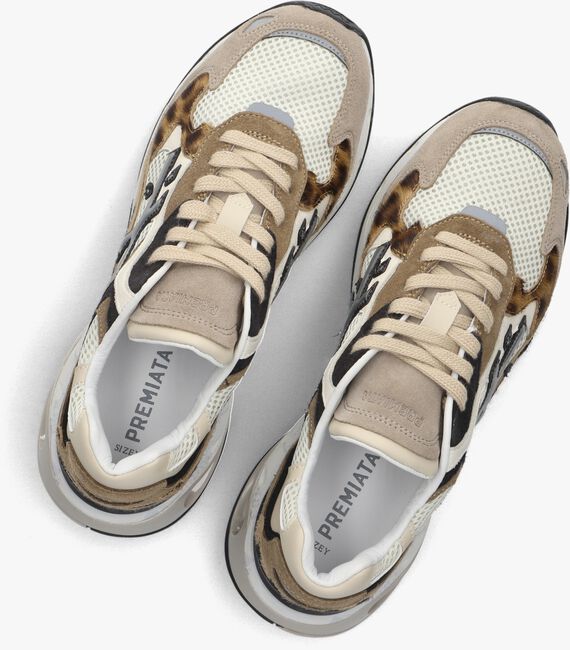 Beige PREMIATA Lage sneakers SHARKY-D Beige PREMIATA Lage sneakers SHARKY-D - large