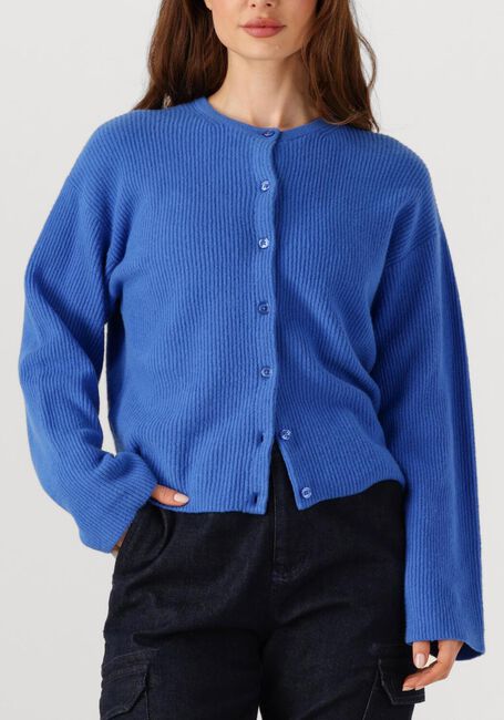 Blauwe PENN & INK Vest CARDIGAN W25B345 - large