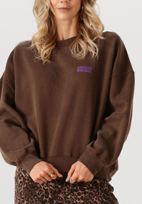 Bruine AMERICAN VINTAGE Trui PLIZZY - large