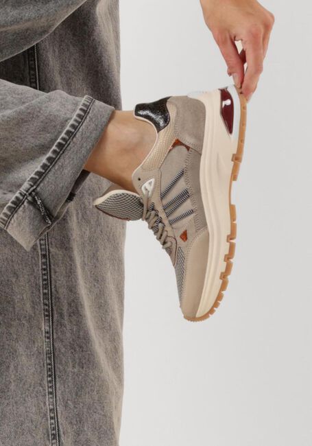 VIA VAI LIZ DAE - large