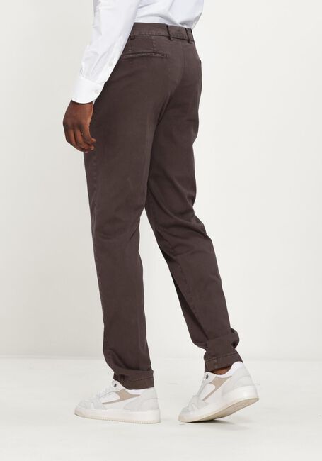 Bruine BERWICH Chino MORELLO ELAX-GD - large