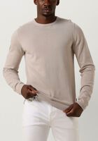 SAINT STEVE SANDER - medium