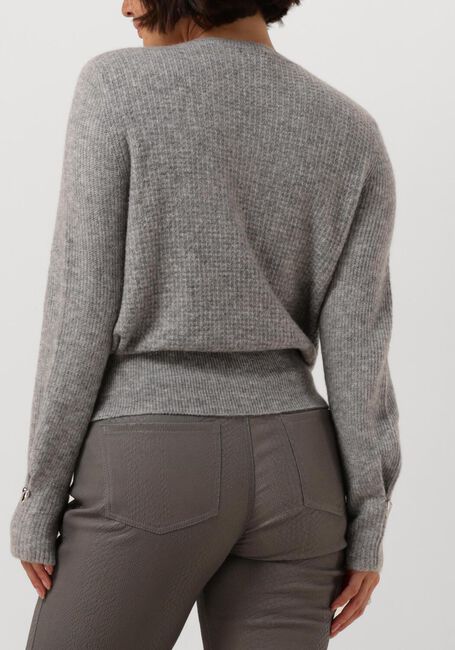 Grijze CAROLINE BISS Truien/vesten 4237 - large