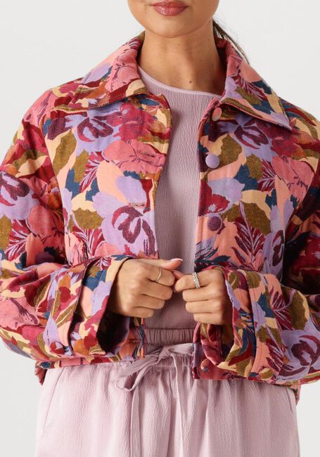 Multi AMAYA AMSTERDAM Jack 261-42 - large