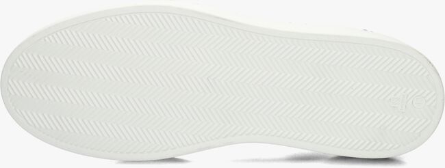 Grijze STEFANO LAURAN Lage sneakers LJ2501 Grijze STEFANO LAURAN Lage sneakers LJ2501 - large