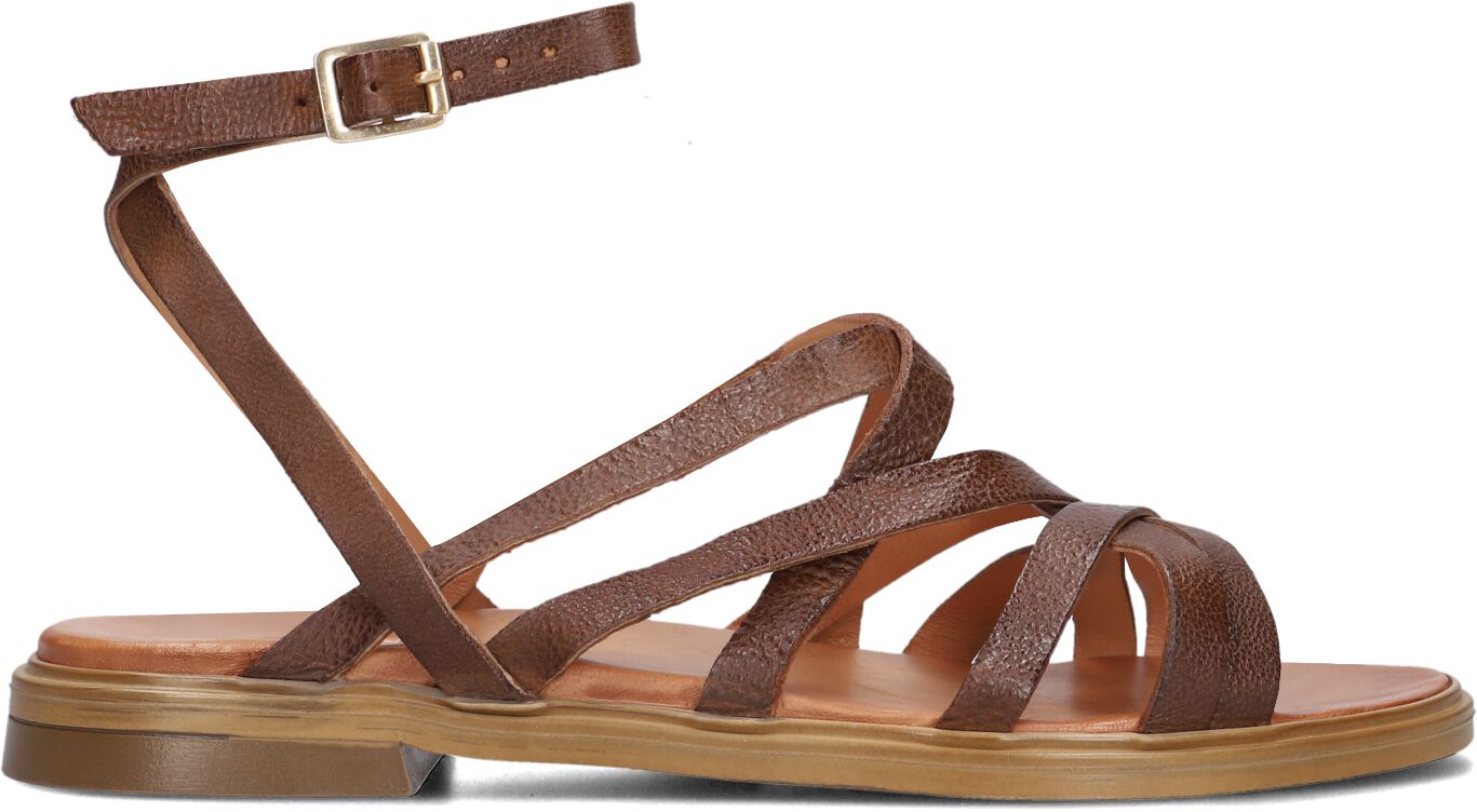 Ayana Sandalen
Dames M05089, Maat: 39, Materiaal: Leer, Kleur: Cognac