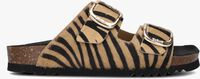 Beige SCHOLL Slippers NOELLE PRINT LED - medium