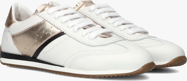 Witte STEFANO LAURAN Lage sneakers 1TAGE1031 Witte STEFANO LAURAN Lage sneakers 1TAGE1031 - large
