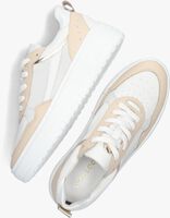 Witte LINA LOCCHI Sneakers ANEMONE-09 - medium