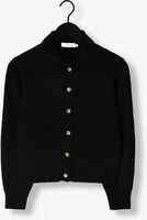 KNIT-TED DANNY KNIT-TED DANNY - medium