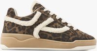 Groene VIA VAI Lage sneakers SAM SADIE Groene VIA VAI Lage sneakers SAM SADIE - medium
