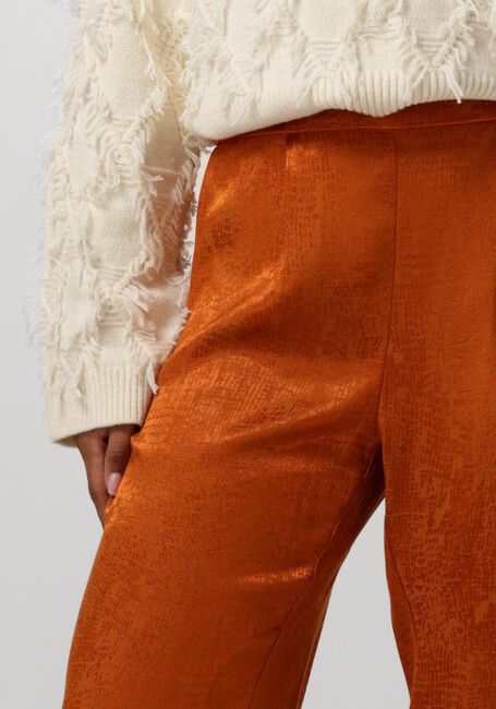 Oranje AMAYA AMSTERDAM Pantalon VIVIAN PANTS - large