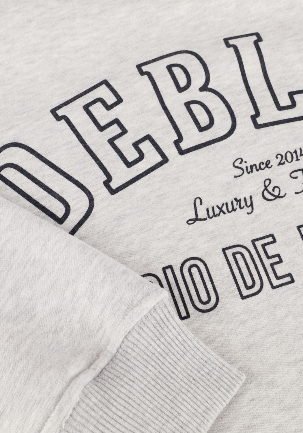 Lichtgrijze DEBLON SPORTS Sweater CECILE - large
