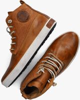 Cognac BLACKSTONE Hoge sneakers ICON Cognac BLACKSTONE Hoge sneakers ICON - medium