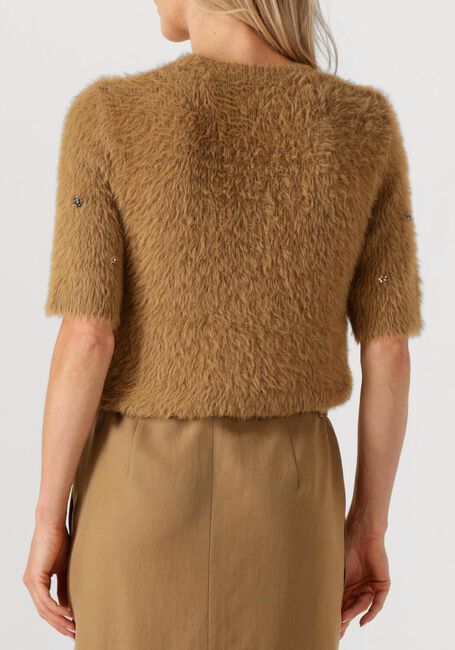 Camel LUISA CERANO Trui 128670/5349 - large