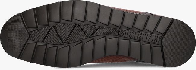 Beige HARRIS Lage sneakers 0818 Beige HARRIS Lage sneakers 0818 - large