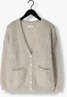 Grijze DES PETITS HAUTS Vest BETANI Grijze DES PETITS HAUTS Vest BETANI - medium