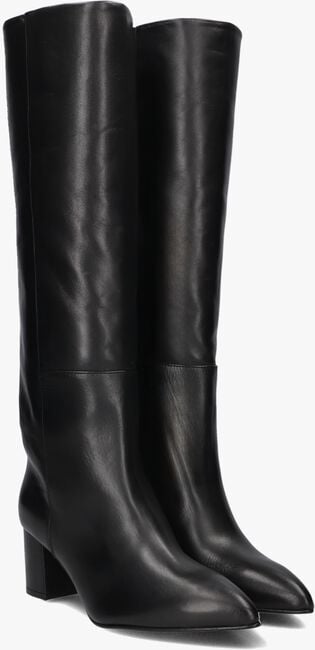 TORAL 12776 TORAL 12776 - large
