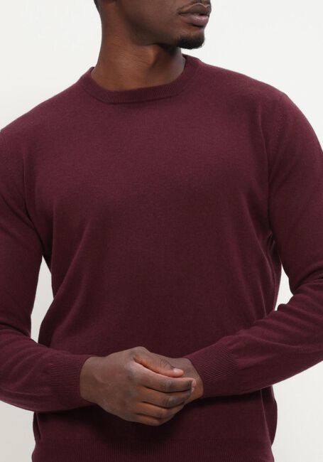 Bordeaux FILIPPO DE LAURENTIIS Trui G. COLLO ML - large
