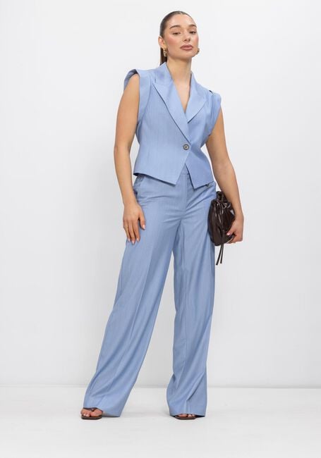 Lichtblauwe CO'COUTURE Trui KIANACC PIN VEST - large