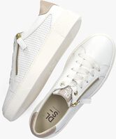 Witte DL SPORT Sneakers 6207 - medium