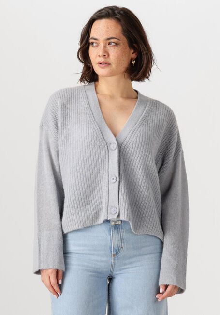 Blauwe DANTE6 Vest UTAH CROPPED CARDIGAN - large