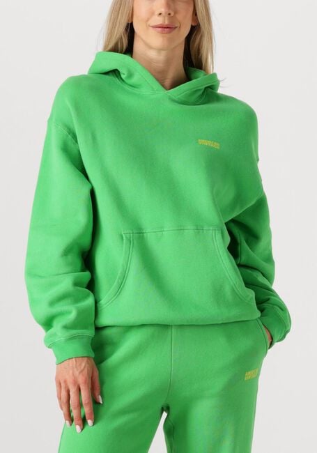 Groene AMERICAN VINTAGE Trui IZUBIRD S - large