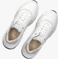Witte NUBIKK Lage sneakers ROSS JADEN Witte NUBIKK Lage sneakers ROSS JADEN - medium