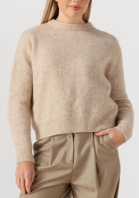 Beige MAX MARA Trui TUONO - large