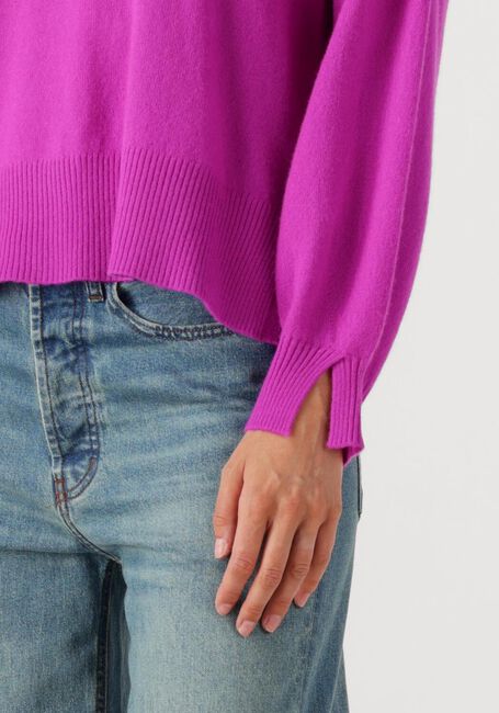 Paarse ABSOLUT CASHMERE Truien/vesten CATERINA - large
