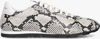Grijze STEFANO LAURAN Lage sneakers 1SLICK100 Grijze STEFANO LAURAN Lage sneakers 1SLICK100 - medium