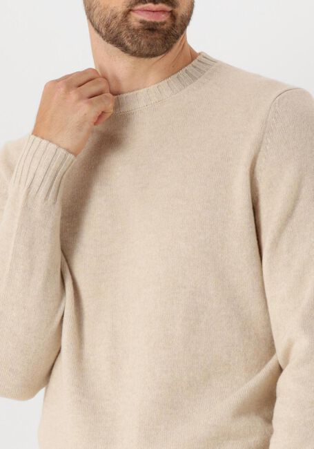 Beige FILIPPO DE LAURENTIIS Trui G.COLLO ML LANA CASHMERE - large