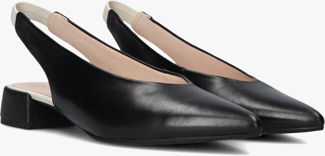 LODI AMARIE LODI AMARIE - large