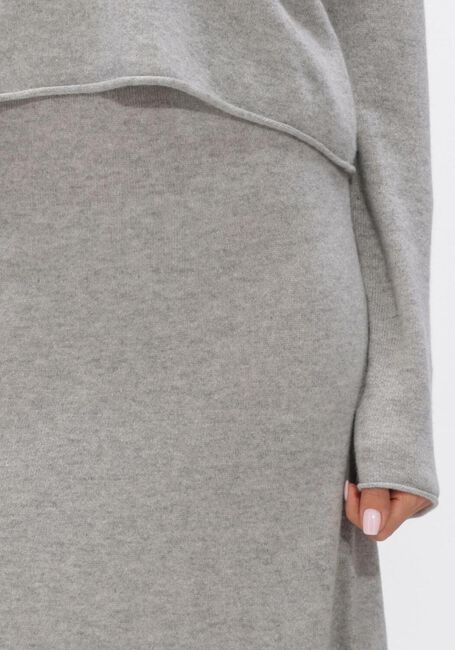 Lichtgrijze LISA YANG Rokken DOLLY SKIRT - large