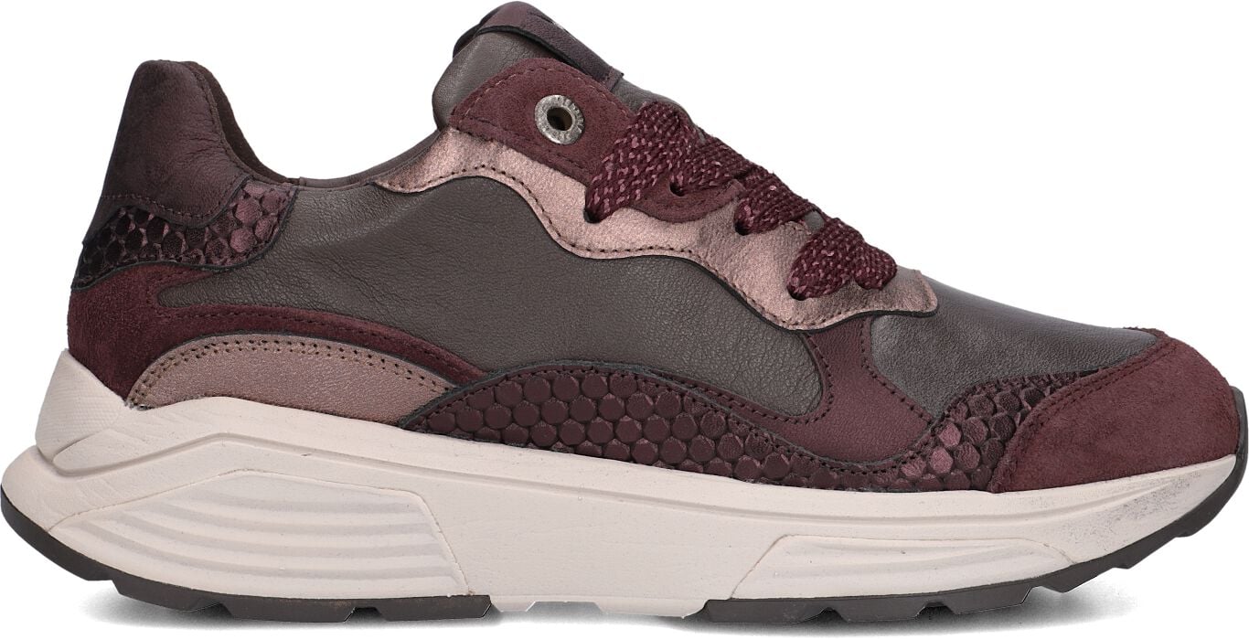 Xsensible Xsensible Lage Sneakers Dames Rainbow
