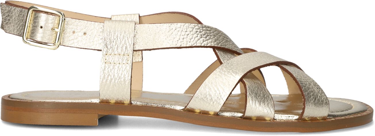 Stefano Lauran Dames 22757