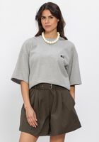 Grijze JOHNY T-shirt LEXY T SHIRT