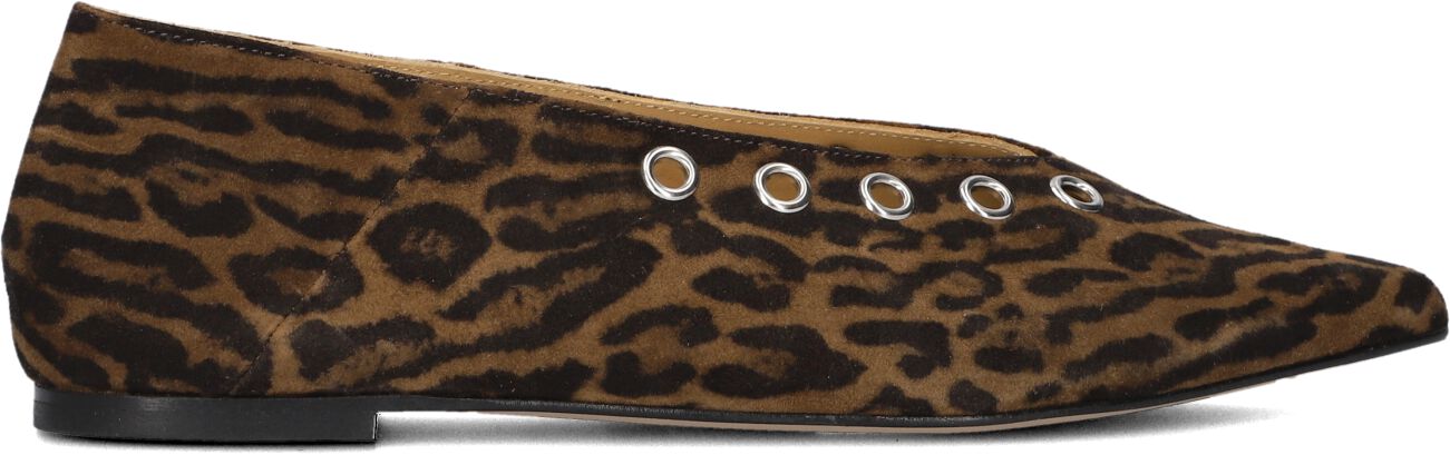 Toral Ballerina
Dames Miranda, Maat: 39, Materiaal: Suède, Kleur: Bruin afbeelding 1