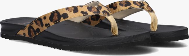 Bruine BLASZ Teenslippers BELLA 2402 Bruine BLASZ Teenslippers BELLA 2402 - large