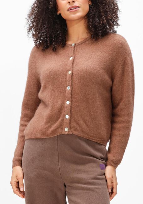 Bruine AMERICAN VINTAGE Trui VITOW - large