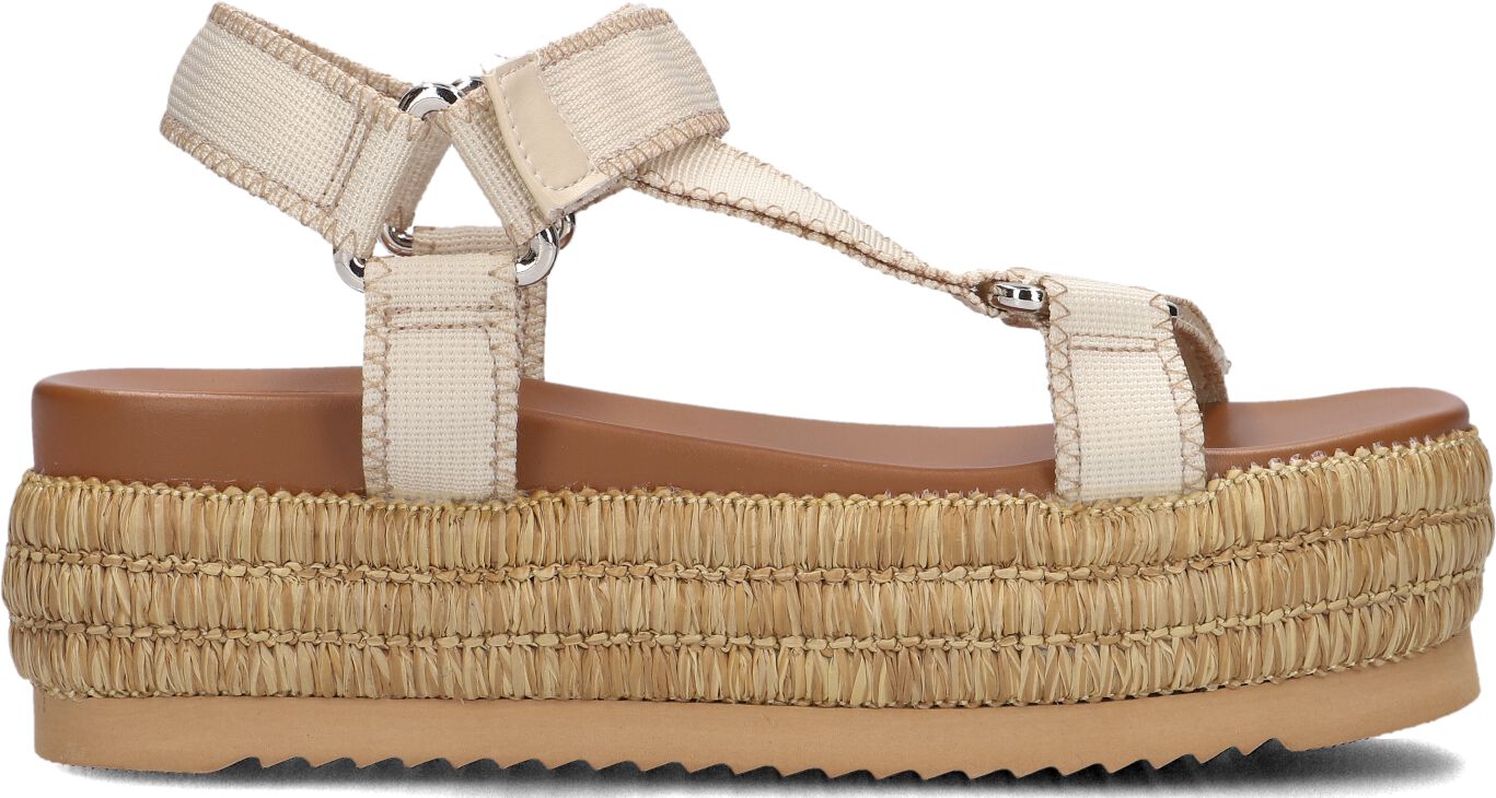 Blasz Dames Cls14351