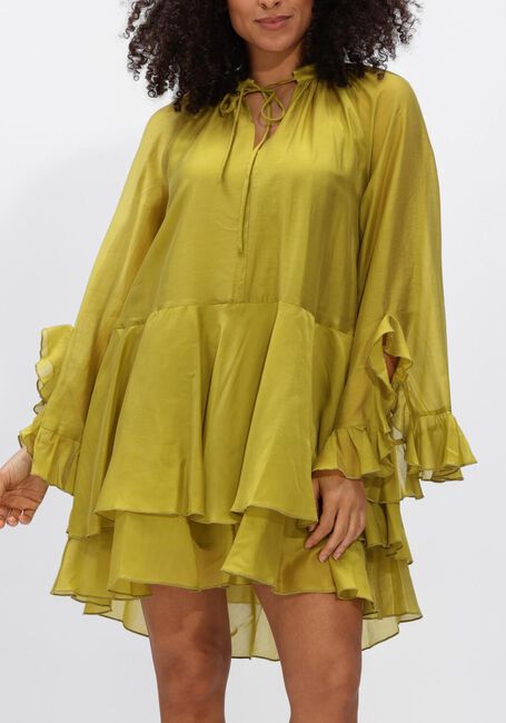 Groene DEVOTION Jurken SHEEN - large