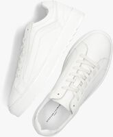 Witte STEFANO LAURAN Sneakers S3149 - medium