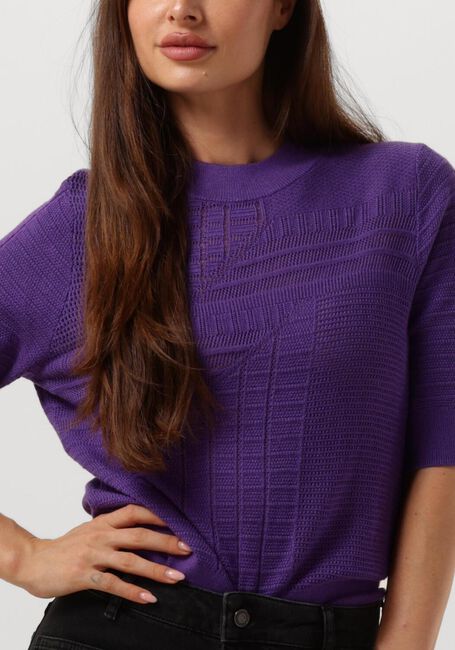 Paarse CAROLINE BISS Truien/vesten 4212 - large