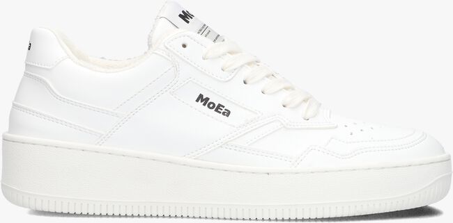 MoEa MOEA-BASGN1 MoEa MOEA-BASGN1 - large